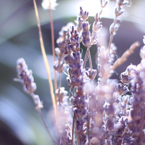 anna-kumpan-PFNntv88_3o-unsplash